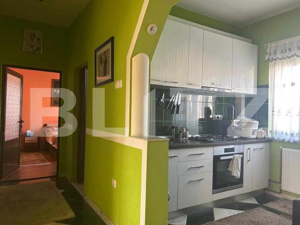 Casa de vânzare 9 camere Botizului - 161858CV | BLITZ Satu Mare | Poza13