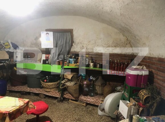 Casa de vânzare 4 camere Central - 161866CV | BLITZ Satu Mare | Poza12