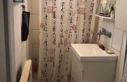 Casă tip P+1 în curte comună, 120 mp, central, lângă Judecătoria Satu Mare