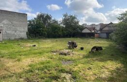 Teren intravilan, 1089 mp, în zona Unio – oportunitate excelentă!