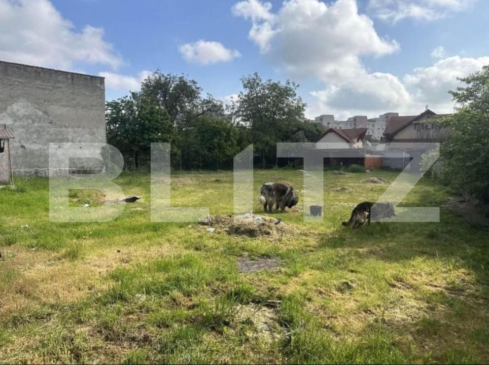 Teren de vânzare Unio - 162046TV | BLITZ Satu Mare | Poza5