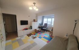 Vanzare apartament 2 camere, suprafata utila 50 mp, Botizului