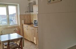 Vanzare apartament 2 camere, suprafata utila 50 mp, Botizului