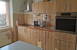 Vanzare apartament 2 camere, suprafata utila 50 mp, Botizului