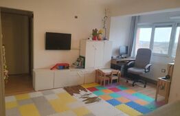 Vanzare apartament 2 camere, suprafata utila 50 mp, Botizului