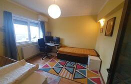 Vanzare apartament 2 camere, suprafata utila 50 mp, Botizului