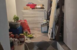 Casa cu 4 camere, 160mp, Paulian