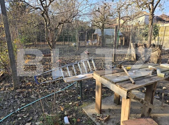 Casa de vânzare 3 camere Semicentral - 162203CV | BLITZ Satu Mare | Poza17