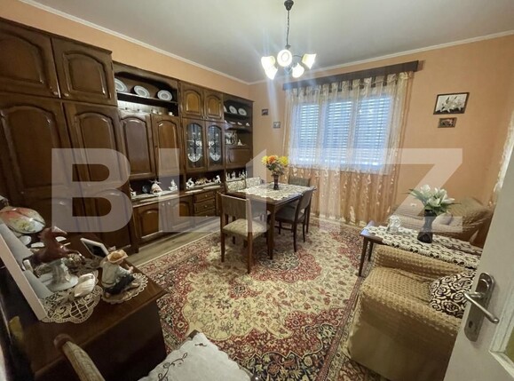 Casa de vânzare 4 camere Lucian Blaga - 162204CV | BLITZ Satu Mare | Poza12