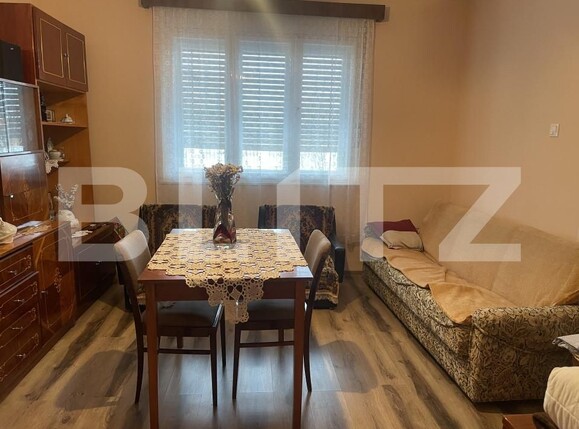 Casa de vânzare 4 camere Lucian Blaga - 162204CV | BLITZ Satu Mare | Poza15