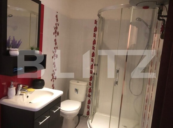 Apartament de închiriat 2 camere Ultracentral - 162266AI | BLITZ Satu Mare | Poza6