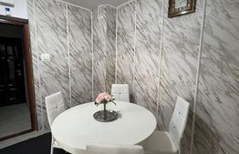 Apartament 3 camere, 100 mp, pe Strada Careiului