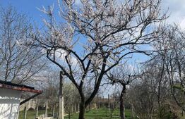 Casa cu 4 dormitoare, 180 mp, zona Baritiu