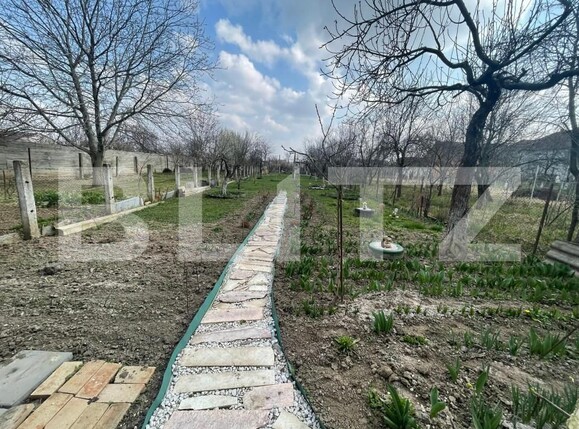 Casa de vânzare 6 camere Solidaritatii - 162326CV | BLITZ Satu Mare | Poza19