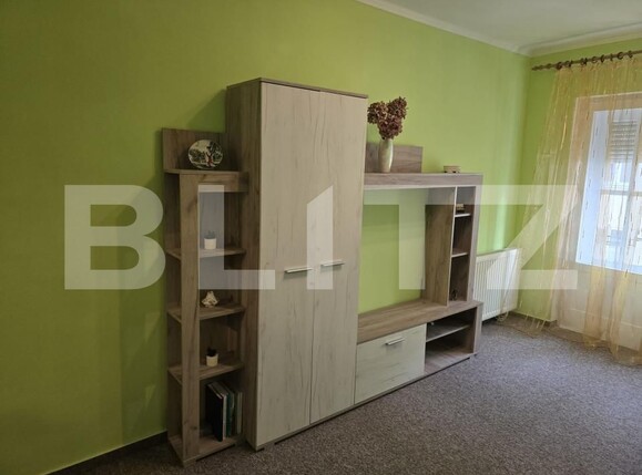 Apartament de vânzare 2 camere Central - 162335AV | BLITZ Satu Mare | Poza5