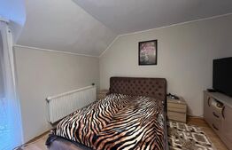 Casă spațioasă P+M, 6 camere, 236 mp, în cartierul Titulescu