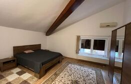 Casă spațioasă P+M, 6 camere, 236 mp, în cartierul Titulescu