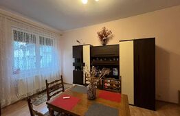 Casă spațioasă P+M, 6 camere, 236 mp, în cartierul Titulescu