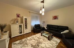 Casă spațioasă P+M, 6 camere, 236 mp, în cartierul Titulescu