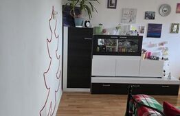 Apartament 3 camere, 43 mp, zona-Micro 14