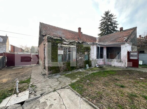 Casa de vânzare 3 camere 14 Mai - 162436CV | BLITZ Satu Mare | Poza2