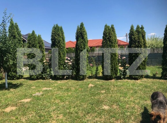 Casa de vânzare 4 camere Mărtineşti - 162474CV | BLITZ Satu Mare | Poza7