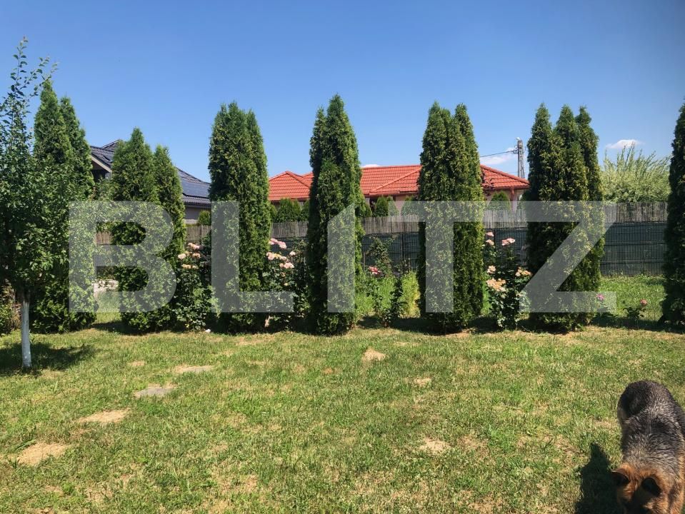 Casa de vânzare 4 camere Mărtineşti - 162474CV | BLITZ Satu Mare | Poza7
