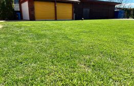 Vila la cheie, zona Odoreu, 2330 mp teren