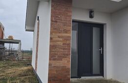 Casa 3 camere, Martinesti 3 sau 6 ari teren