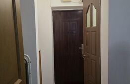 Apartament, 1 camera, 24mp, Ostrovului