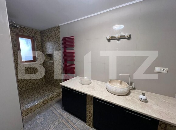 Casa de vânzare 7 camere Botizului - 163260CV | BLITZ Satu Mare | Poza7