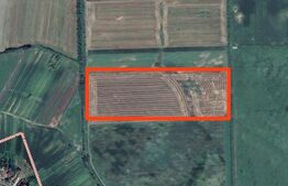 Teren extravilan, arabil, 1 hectar, zona Dorolt