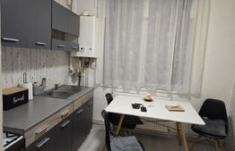 Apartament  2 camere, 57 mp, Micro 16