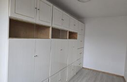 Apartament de vanzare cu 3 camere, 44 mp, zona Solidaritatii