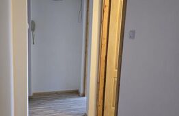 Apartament de vanzare cu 3 camere, 44 mp, zona Solidaritatii