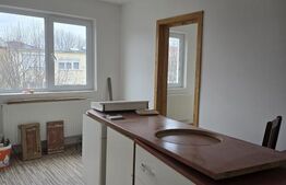 Apartament de vanzare cu 3 camere, 44 mp, zona Solidaritatii