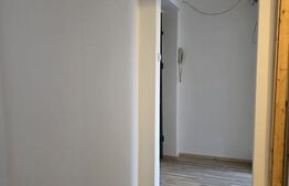 Apartament de vanzare cu 3 camere, 44 mp, zona Solidaritatii