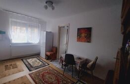 Apartament de vanzare, 2 camere, 33 mp, zona Micro 14