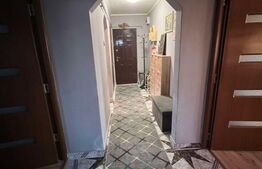 Apartament de vanzare, 2 camere, 57 mp utili, Zona Drum Carei, dupa R.A.R