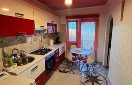 Apartament de vanzare, 2 camere, 57 mp utili, Zona Drum Carei, dupa R.A.R