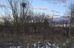 Teren 8 ari, Martinesti