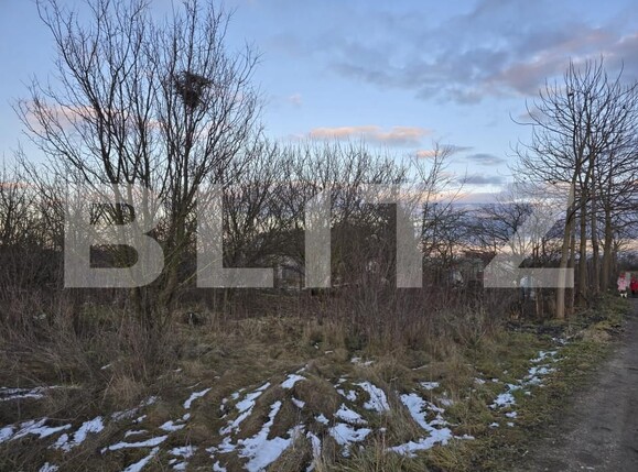 Teren de vânzare Mărtineşti - 164169TV | BLITZ Satu Mare | Poza1