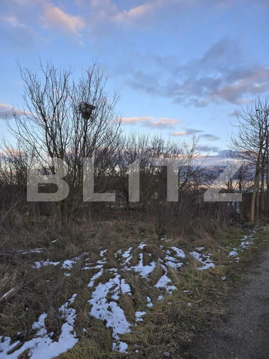 Teren de vânzare Mărtineşti - 164169TV | BLITZ Satu Mare | Poza2