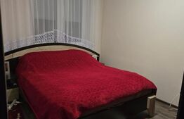 Apartament cu 2 camere, 50 mp, zona Botizului