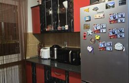 Apartament cu 2 camere, 50 mp, zona Botizului