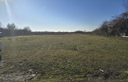 Teren de vânzare Lucian Blaga - 192606TV | BLITZ Satu Mare | Poza5