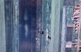 Teren intravilan , 15000mp, Dorolt