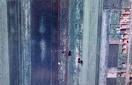 Teren intravilan , 15000mp, Dorolt