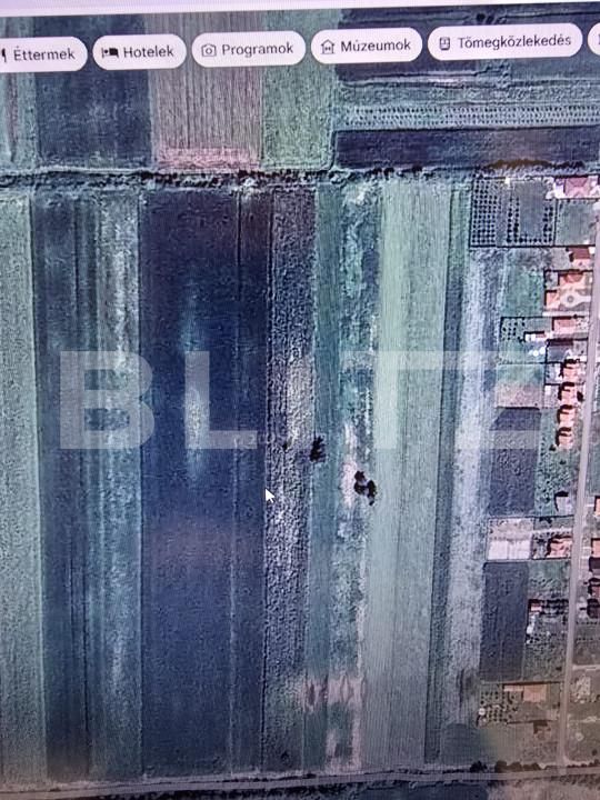 Teren de vânzare Dorolt - 164494TV | BLITZ Satu Mare | Poza2