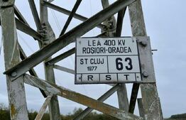 Tern extravilan 26,3974 ha, Ardud